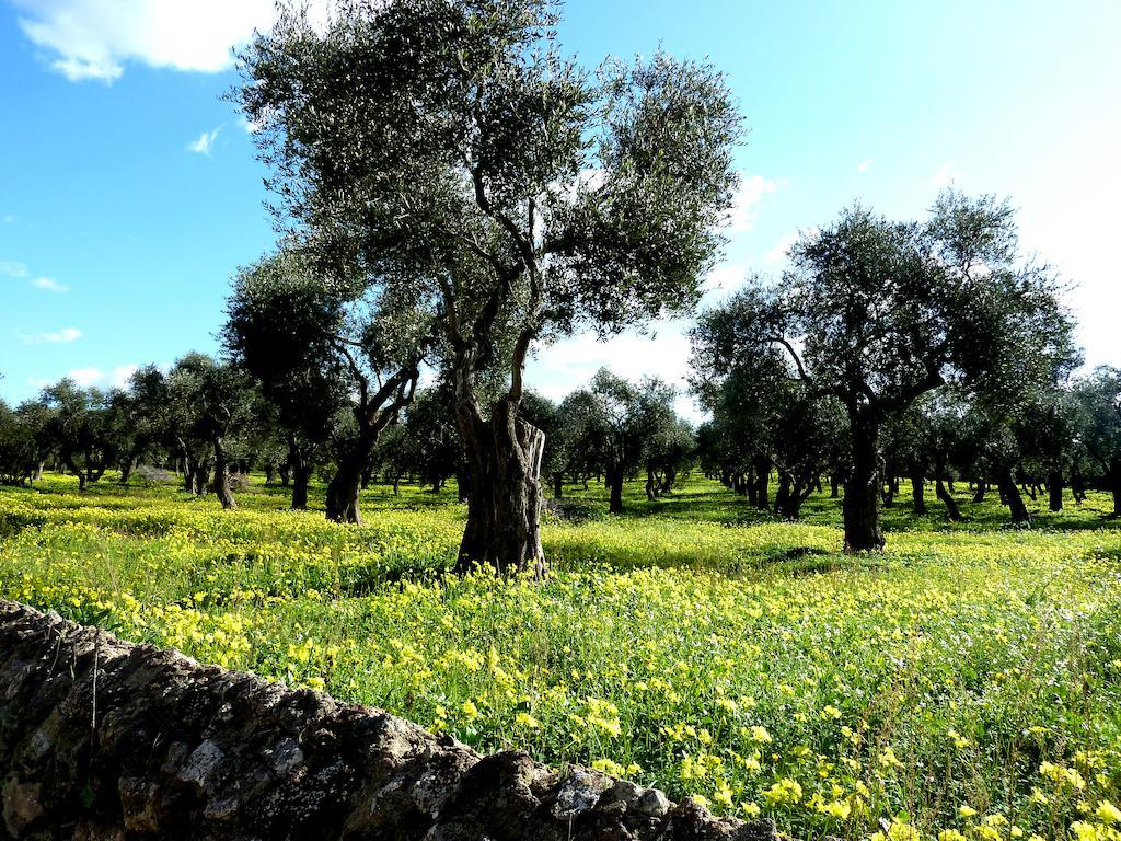 Apartmán Borgo Degli Ulivi Alghero Pokoj fotografie